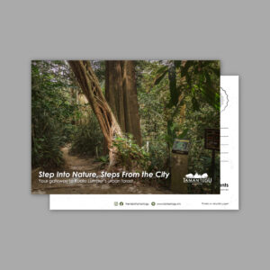 Postcard - Step Into Nature